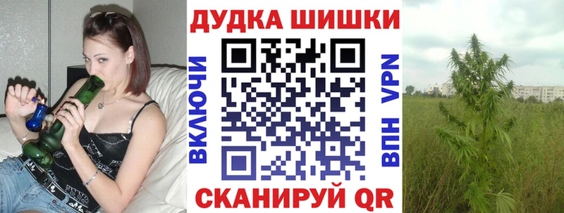 Купить  Сенгилей  МАРИХУАНА сатива 